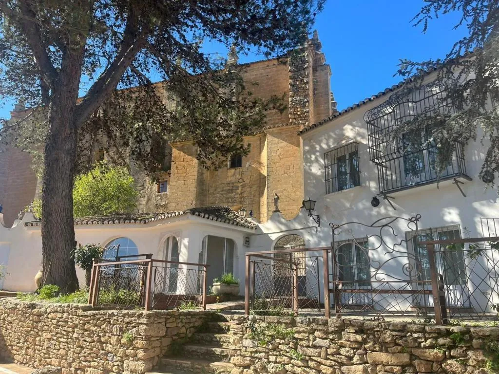 Hotel Boutique Palacio de la Duquesa, photo 2